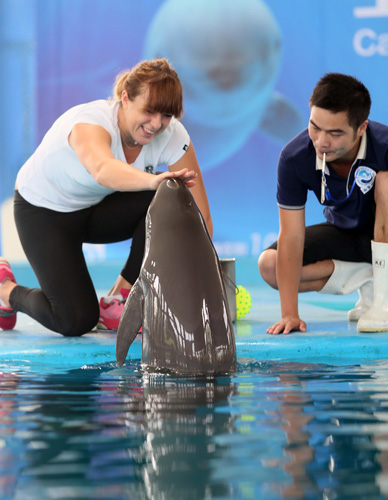 侧注的隐性 侧注的隐性