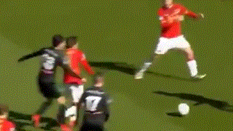 像教材般呈 像教材般呈